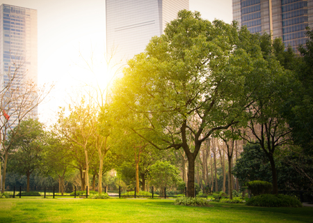 Sistema NIRON, una apuesta segura en edificios sostenibles Sistema NIRON, una apuesta segura en edificios sostenibles
